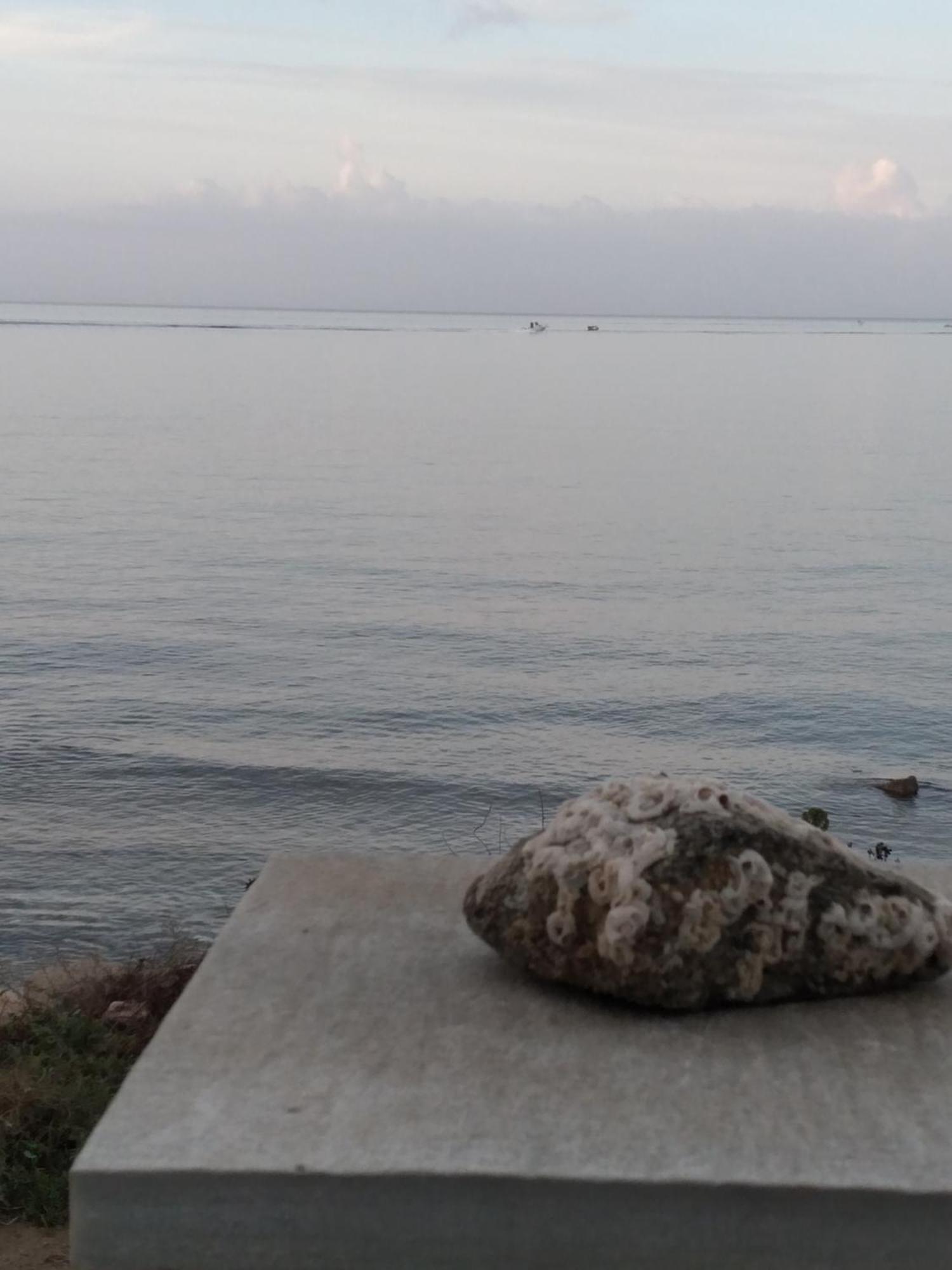 Albatross Seafront House Apartment Naxos City Ngoại thất bức ảnh
