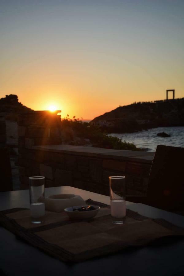 Albatross Seafront House Apartment Naxos City Ngoại thất bức ảnh
