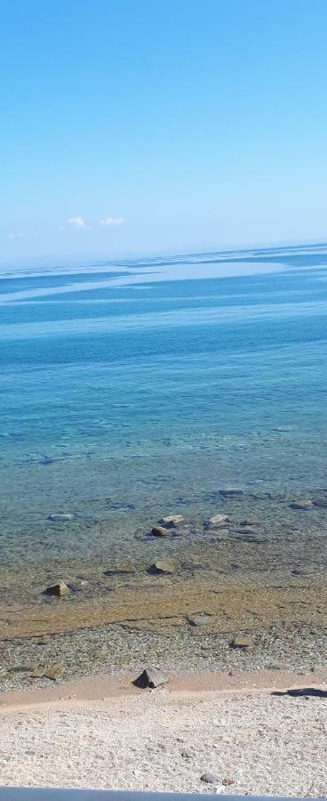 Albatross Seafront House Apartment Naxos City Ngoại thất bức ảnh